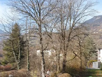 Abattage d’un érable par tyrolienne - Passy (74)