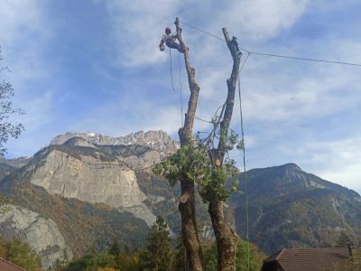 démontage d'arbre à Magland, Chamonix-Mont-Blanc, Megève et Sallanches (74)