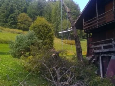 Abattage par tyrolienne d’un Meurisier - Sallanches (74)