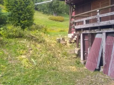 Abattage par tyrolienne d’un Meurisier - Sallanches (74)