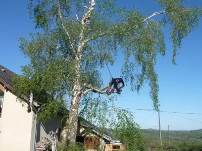 Abattage divers Haute Savoie (74)