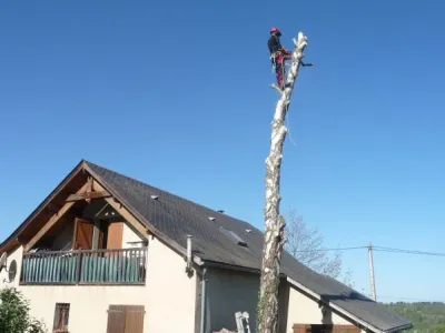 Abattage divers Haute Savoie (74)