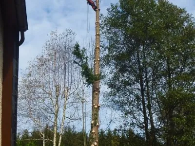 Abattage divers Haute Savoie (74)