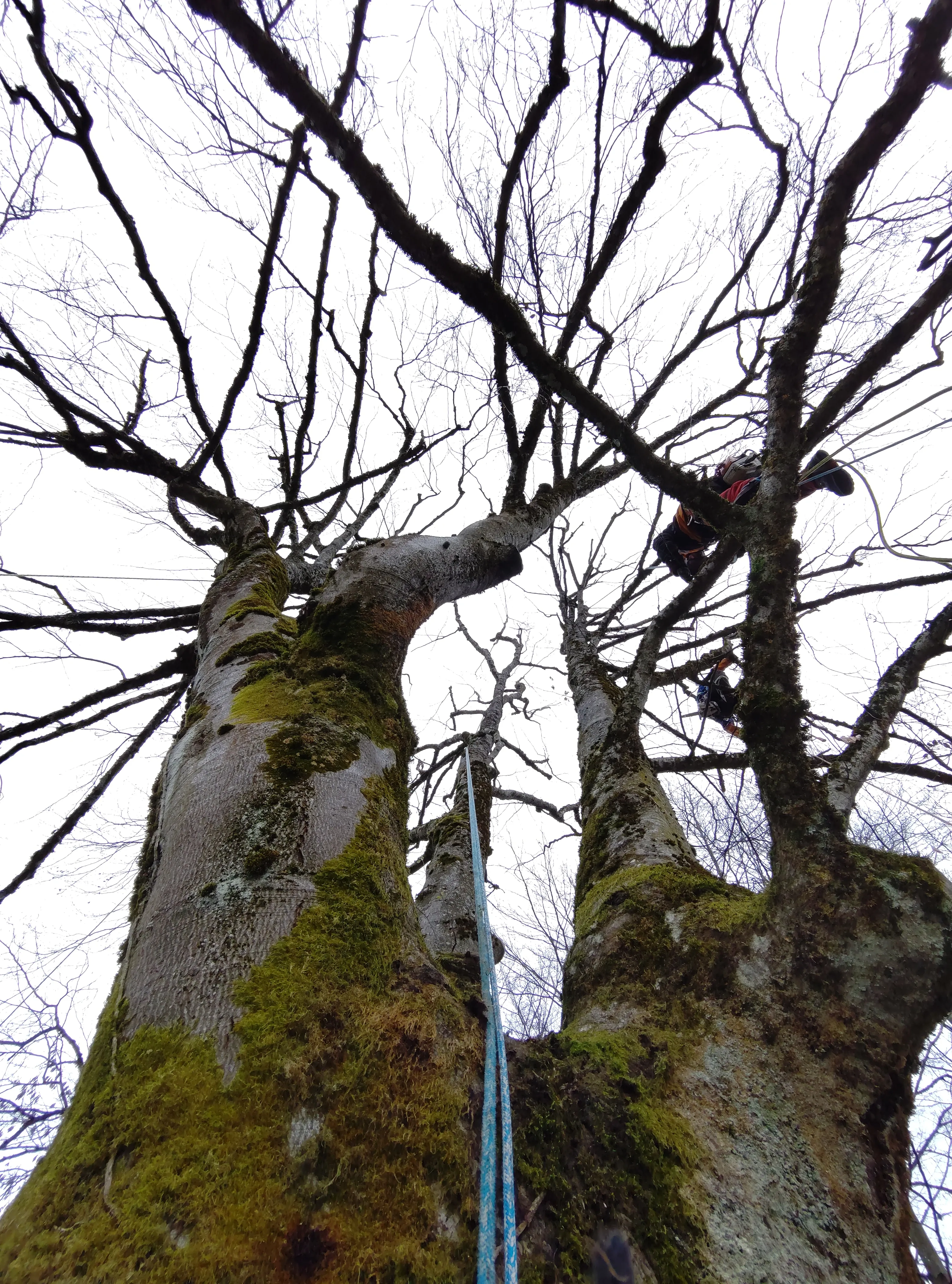 Travaux d'&eacute;lagage &agrave; Magland, Chamonix-Mont-Blanc, Passy et Sallanches (74)