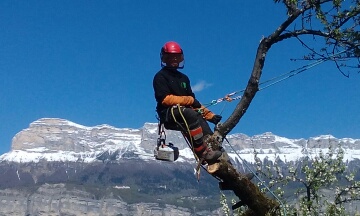 élagueur grimpeur en Haute-Savoie (74)